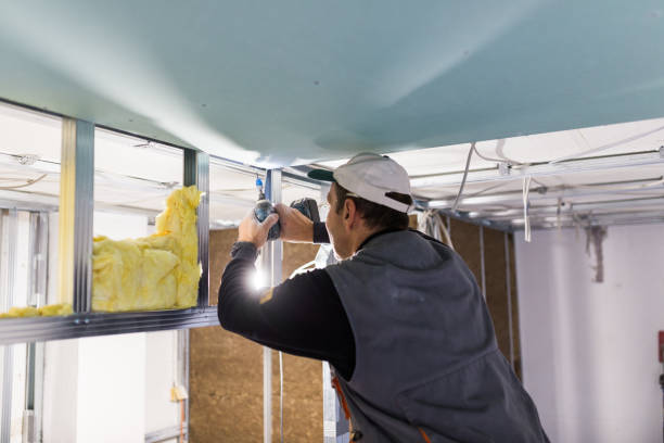 Best Residential Insulation in Woodruff, SC