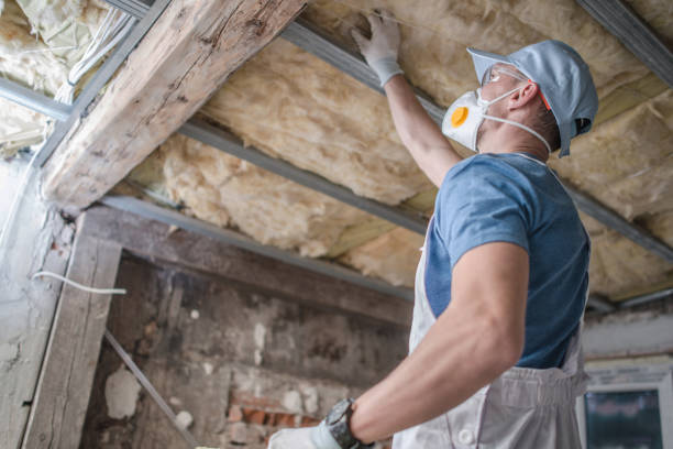 Best Insulation for Specific Applications in Woodruff, SC