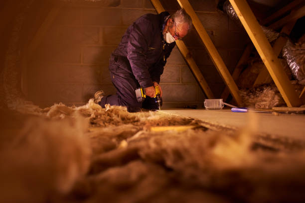 Best Energy Efficiency Insulation in Woodruff, SC
